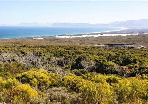 Südafrika Luxusferien - Grootbos Private Nature Reserve - Südafrika Garden Route (9)
