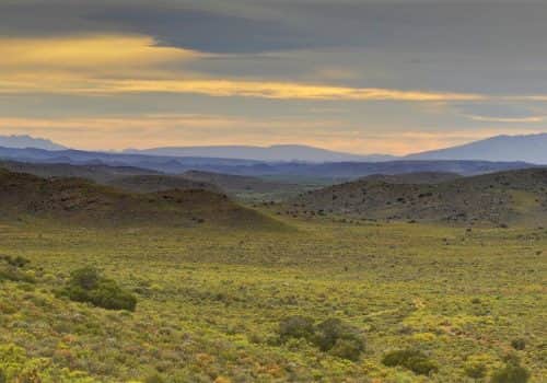 Südafrika Safari - Sanbona Wildlife Reserve - Ferien Südafrika (1)
