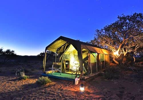 Südafrika Safari - Sanbona Wildlife Reserve - Ferien Südafrika - Explorer Camp (1)