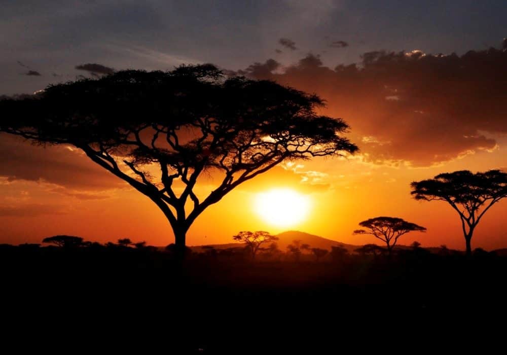 Tansania Serengeti NP (5)