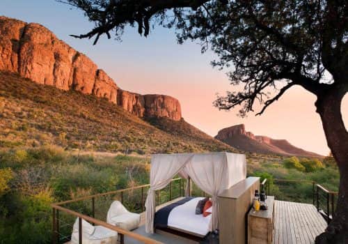 Thabametsi Treehouse_1