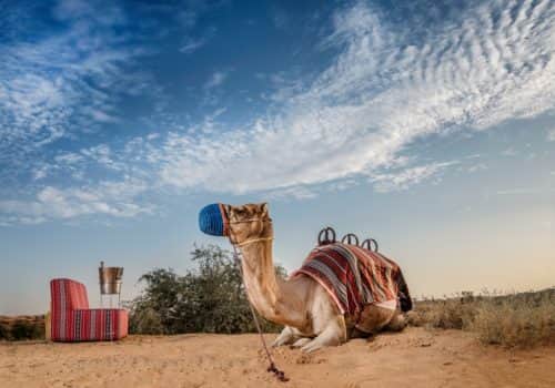 The Ritz-Carlton Ras Al Khaimah, Al Wadi Desert (3)