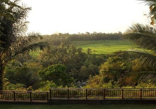 The Samaya Ubud (2)