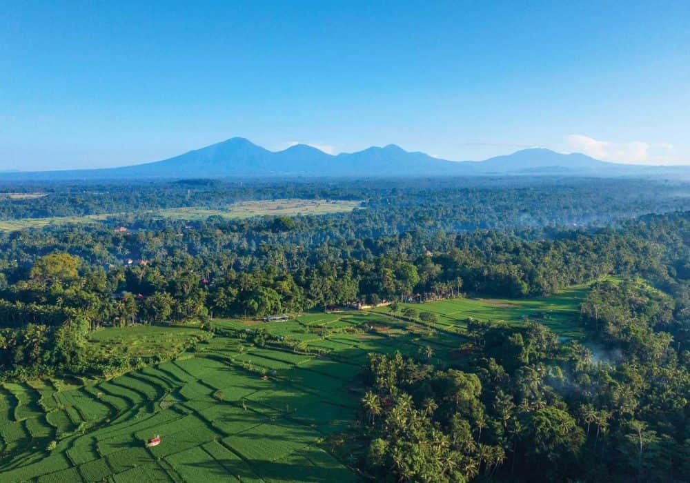 The Samaya Ubud (9)