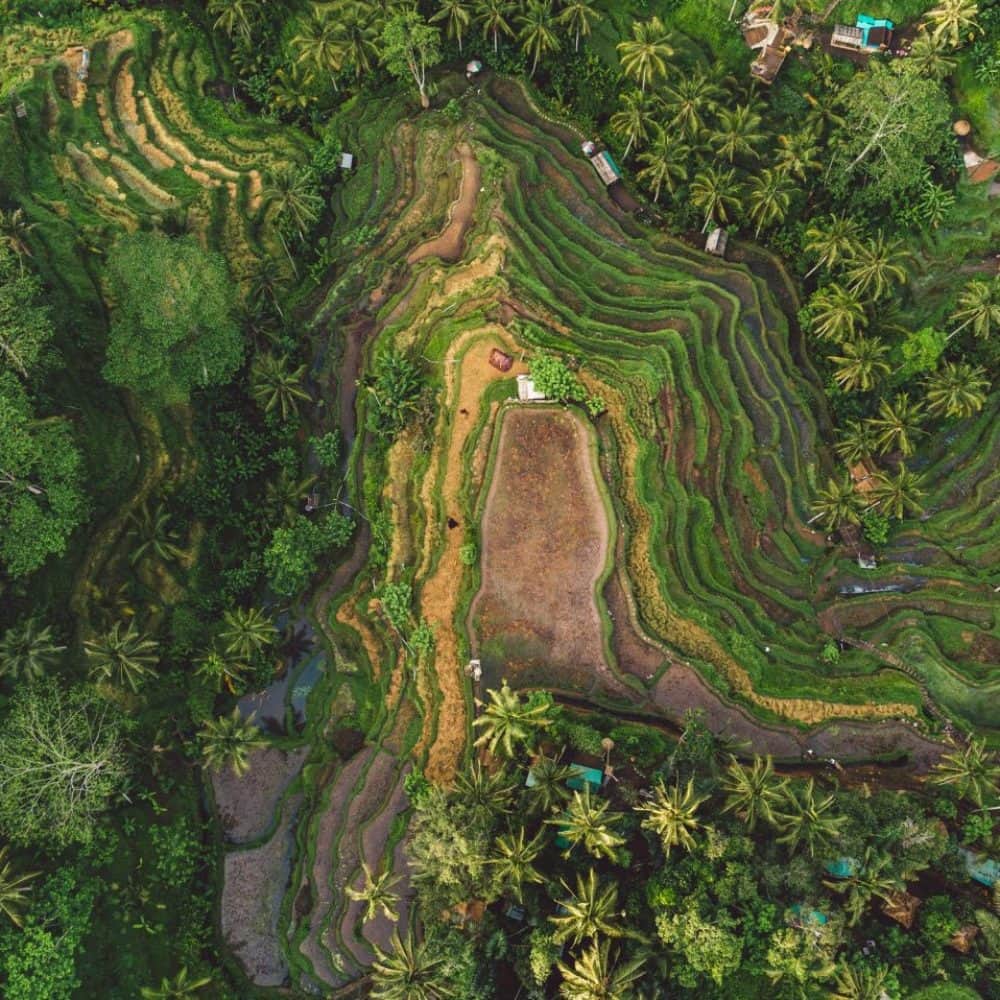 bali.jpg