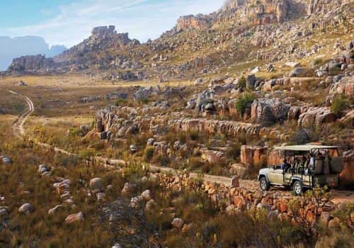 bk-jeep-montaigne-drive-landscape