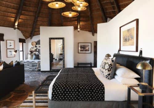 buffalo_suite3_2